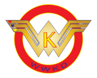 WWKD wwkdproject kelsey foss haiti homes for haiti welcome home haiti feeding haiti 4